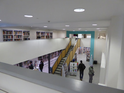 The U.S. Public Library System: The Third Space Impact on Children’s Wellbeing and Development 