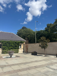 Week 6: Oxford Research Summer