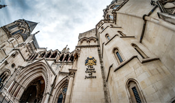 Leadership in Action Project: Filling the gap in the Justice system