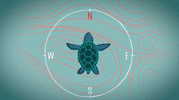 Will magnetoreception be the artificial sixth sense of human?
