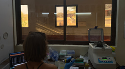 Conservation Across Scales: Integrating Field Ecology and Genomics