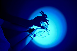 The Hand Behind the Rabbit