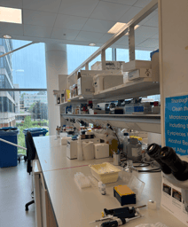 Research Week 1: Pipettes, Patience, and Progress