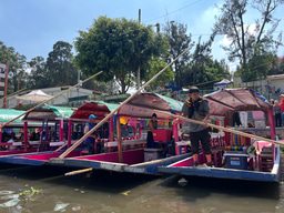 LiA: Week 5 in Mexico City