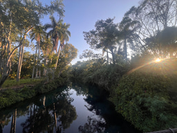 Content Creation Reflections, Week 4 in Mexico City