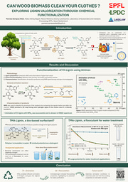 Research Poster: Can Wood Clean Your Clothes? Exploring Lignin Valization Through Chemical Functionalization