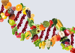 Project Outline: Nutrition for Precision Health