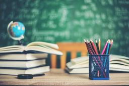 Project Outline: The Role of Private Tuition in the Academic Achievement Gap Between Public and Private Schools in Ireland