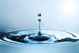 LiA Week 1 Reflection: Looking Beyond Water Scarcity