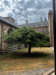 LiA in Cambridge: Midway Reflections!