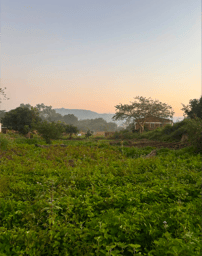 Tiwonana Malawi (See you later)
