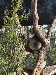 LiA Week 2: Wallabies and warehouses – reflecting on Week 2