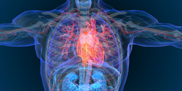 Project Outline: Investigating BACE1 as a novel regulator of adipose thermogenesis and cardiometabolic disease