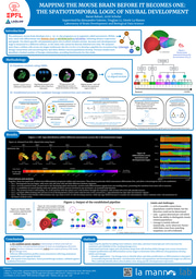 Mapping the Mouse brain before it becomes one: the spatiotemporal logic of neural development