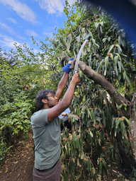 Reading The Rings: What Extending a Garden's Reach Taught Me About Leadership