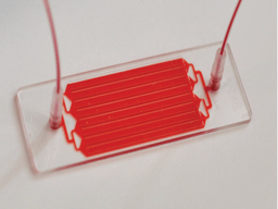 From Cancer to COVID: Returning to the Bench with the Same Chip but a New Target