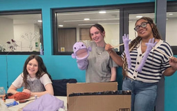 LiA make_sense americas: Week 5, Collaboration