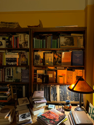 Field Journal - Week 2