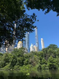 Field Journal - Week 4