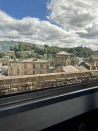 Fences, Fields and the Work of Looking