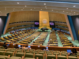 LIA Week 4 Log: UN Disarmament + Video Editing + Exploring the City