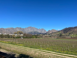SOS Children's Village, Cape Town: Week 2 reflections