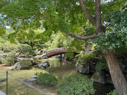 A Tokyo Sojourn: Language, Ambition, and the Spirit of KidsDoor