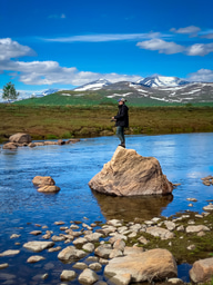 LiA Week 5 - Arctic Mayors' Forum 