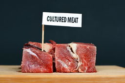 Fine Tuning Scaffolds For Cultivated Meat Production - Research Poster