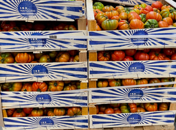 LiA Reflection 1: Food, Education, and Strategies of Sustainability at Natoora