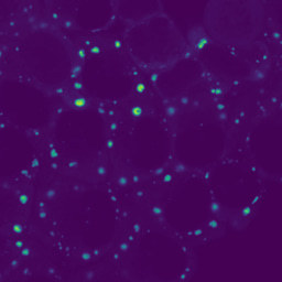 Summer Research Outputs now available!