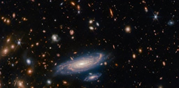 Simulating Euclid observations : selecting Emission Line Galaxies in the COSMOS Field using near-infrared data