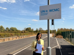 Reflections on interning at the United Nations Environment Programme