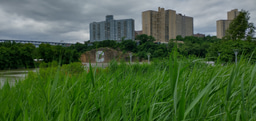 Mapping Ecotourism in NYC Poster