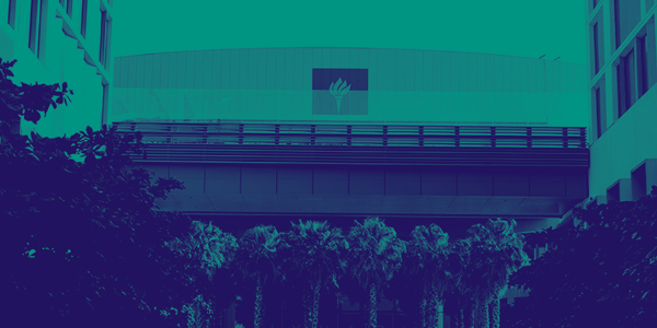 NYU Abu Dhabi