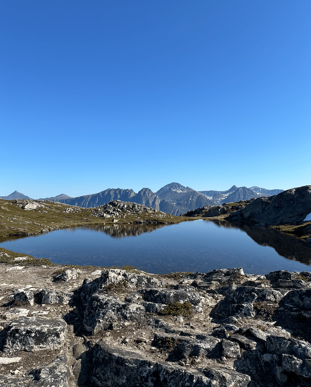 LiA Week 4 - Arctic Mayors' Forum