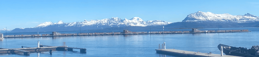 LIA Week 2 - Arctic Mayors' Forum