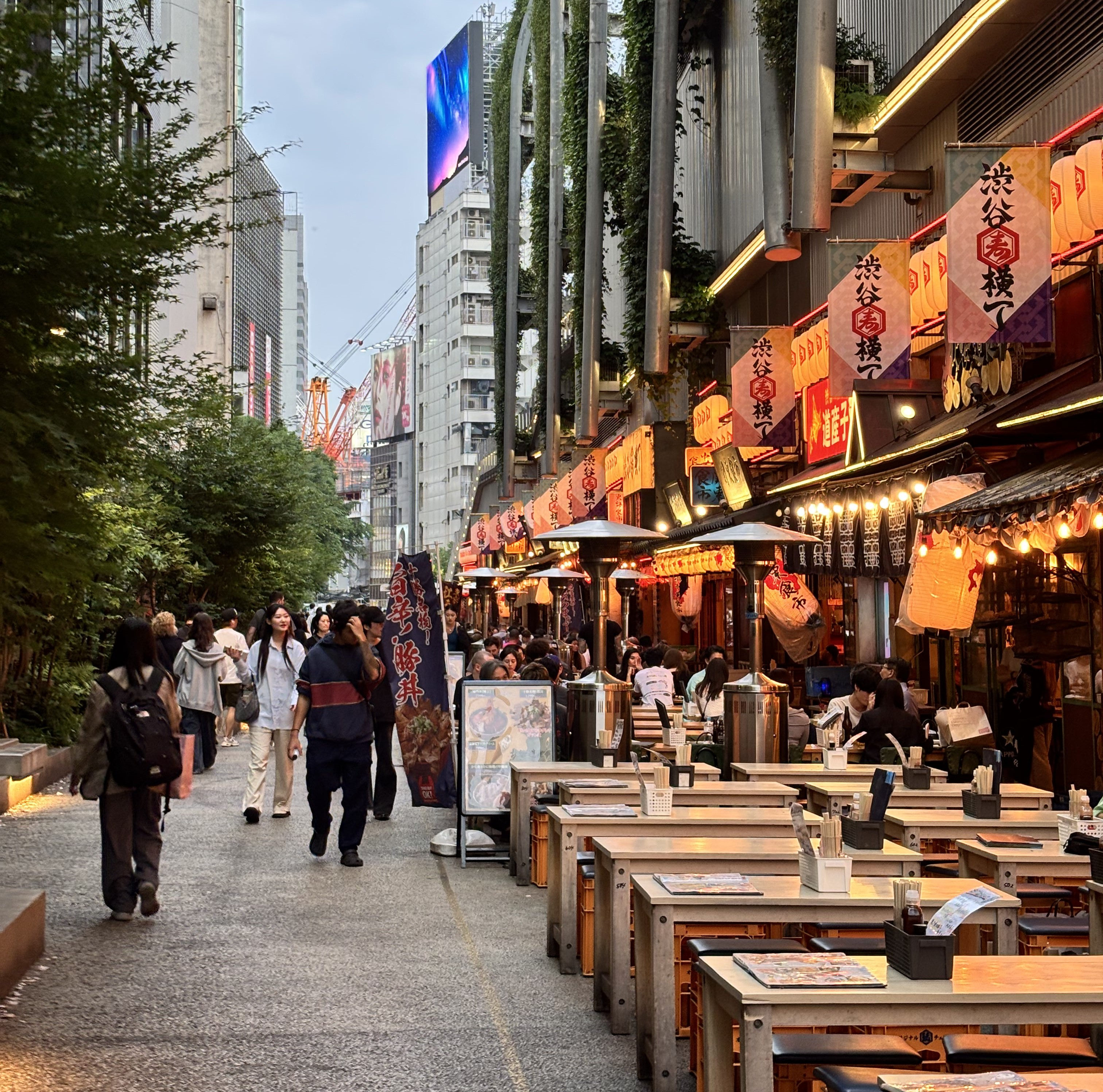 A Sweet Urban Interlude, Or Calm Before the Storm? | Week 2 of my LiA Project in Otsuchi, Japan