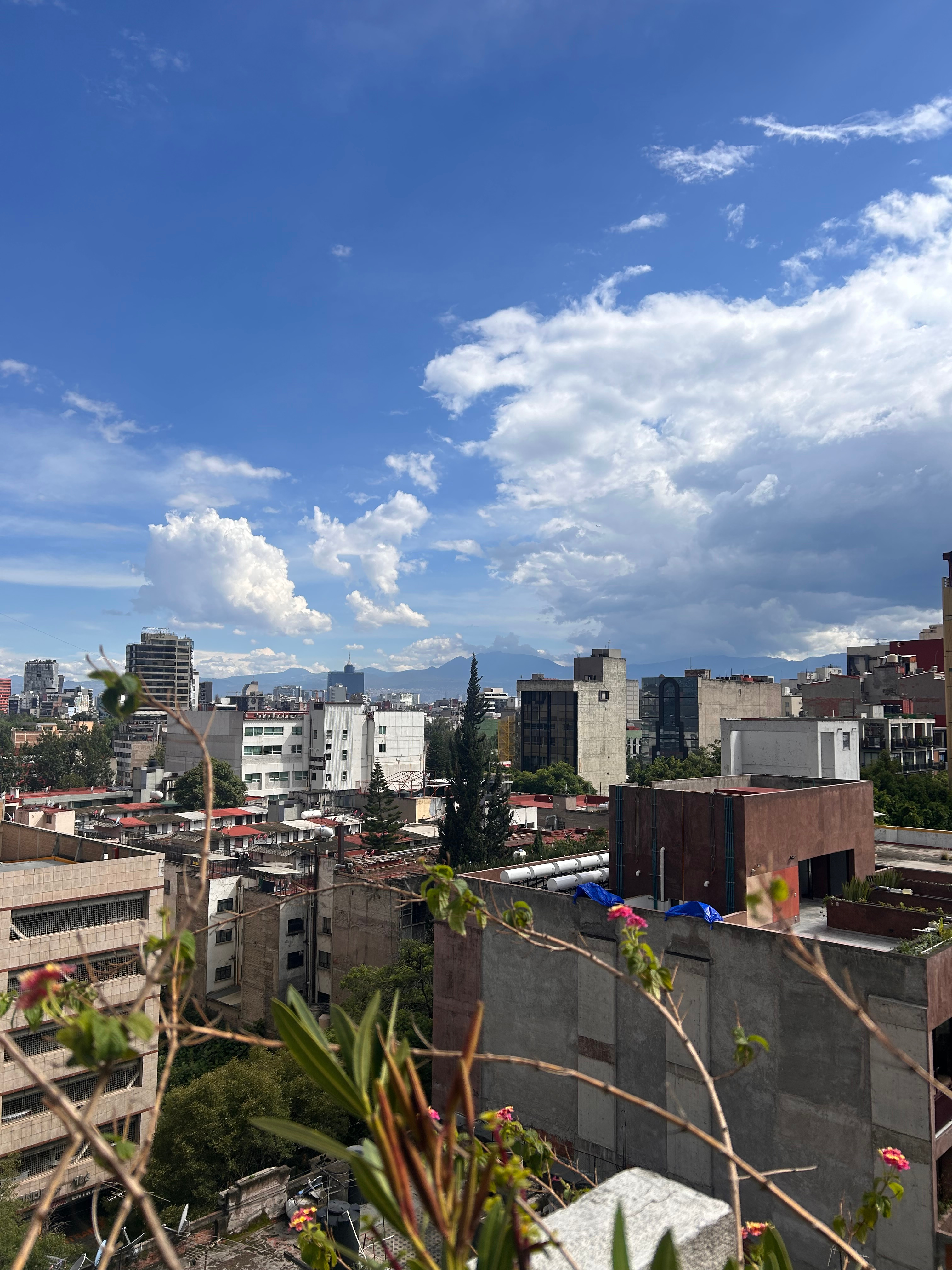 LiA: Week 1 in Mexico City