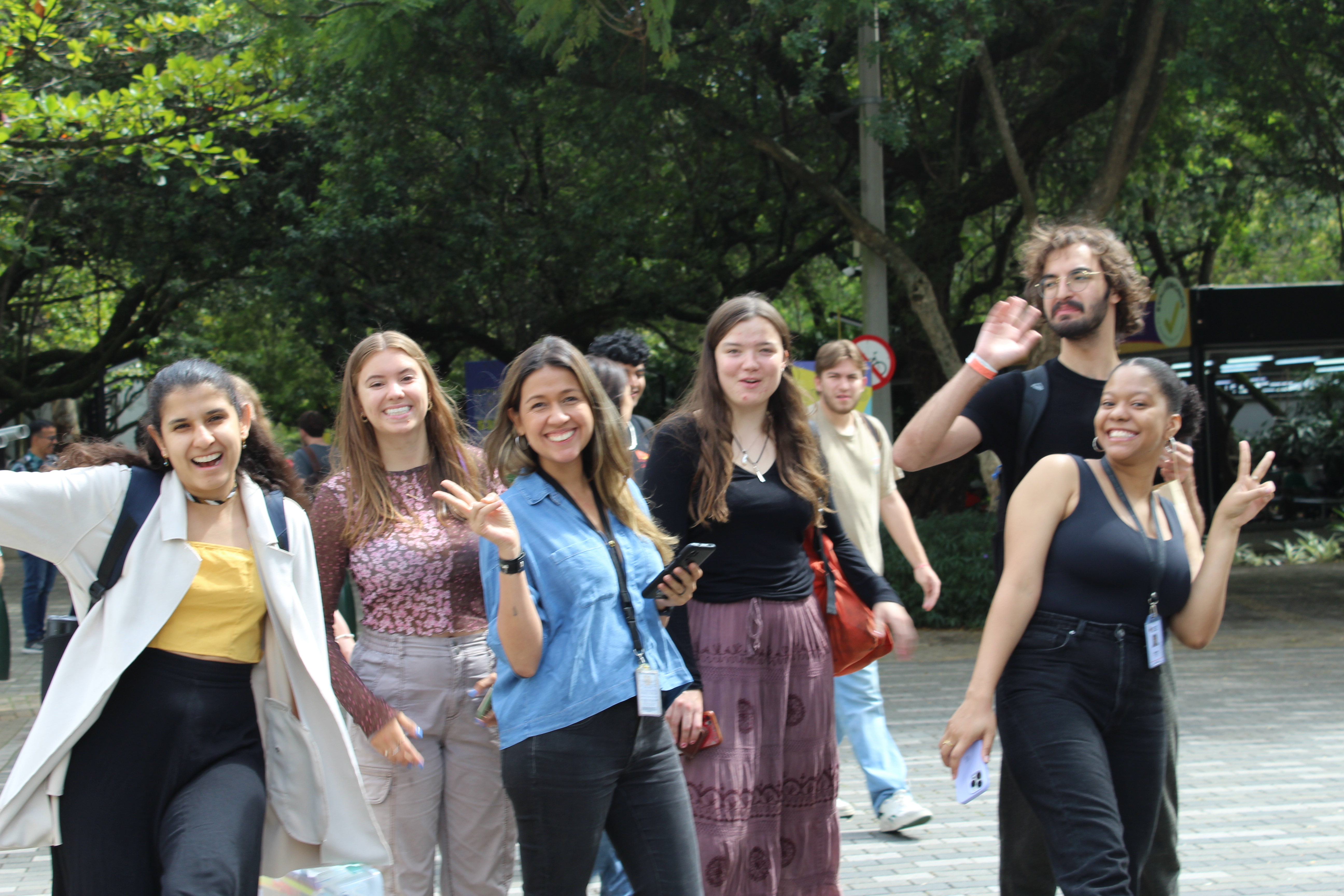 LiA Peace and Social Resilience - week 6