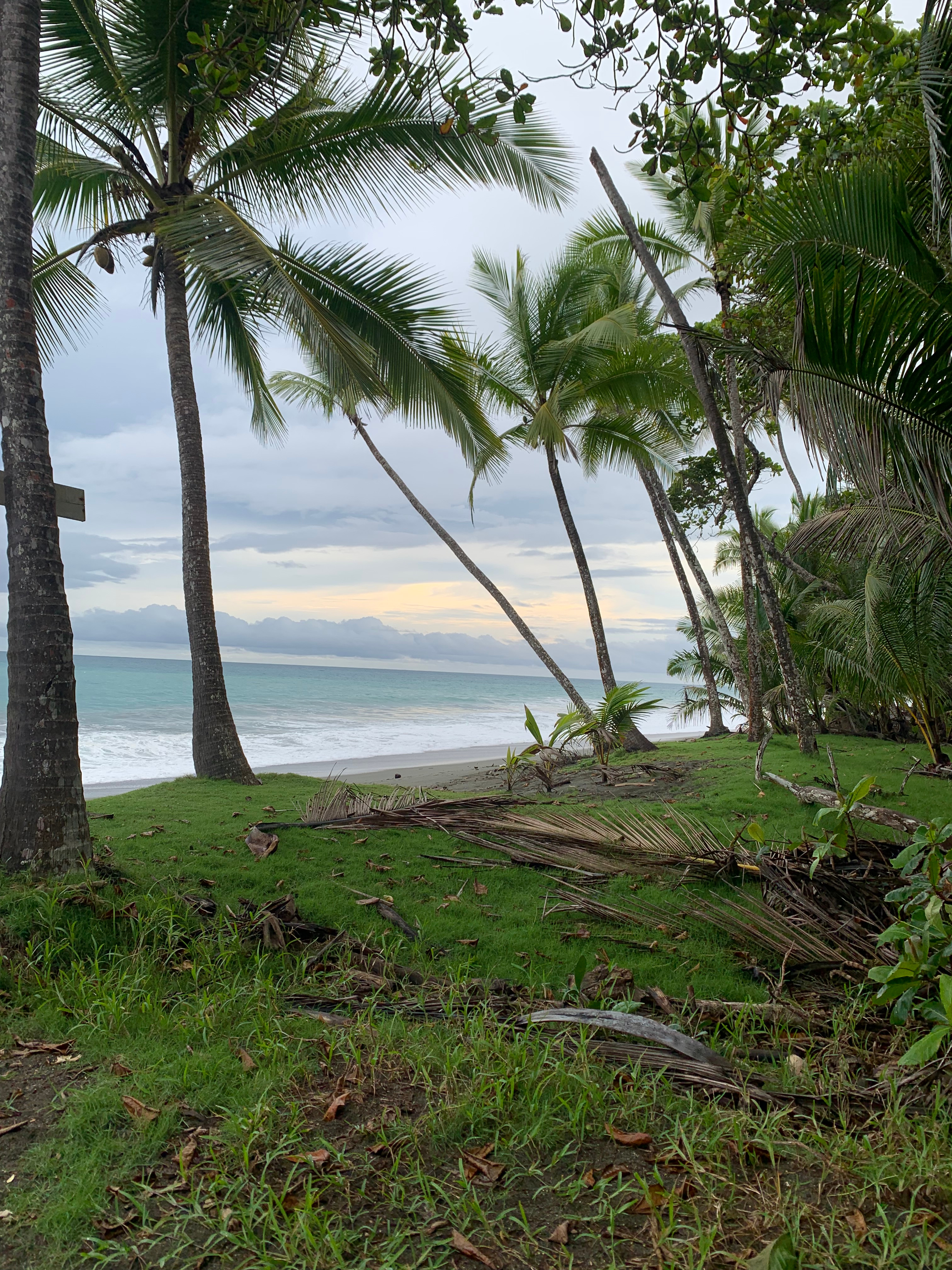 Pura Vida, Pure Lessons