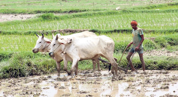 LiA Reflection 1: Madeshi Inequality in Nepal
