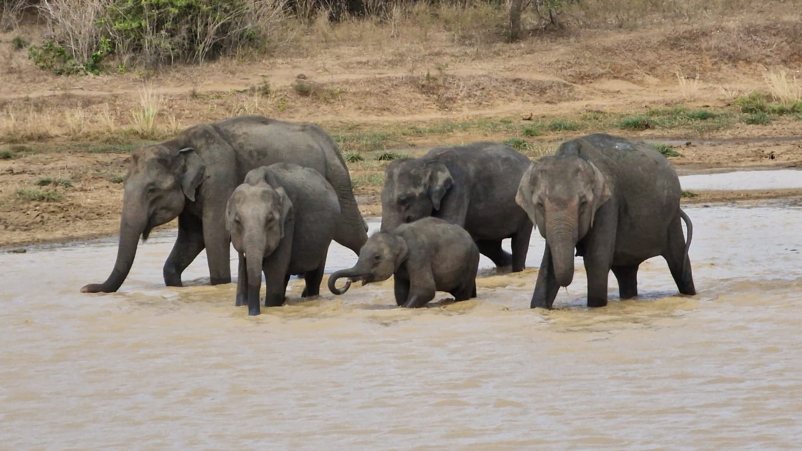 Leadership in Action in Sri Lanka, Summer 2023