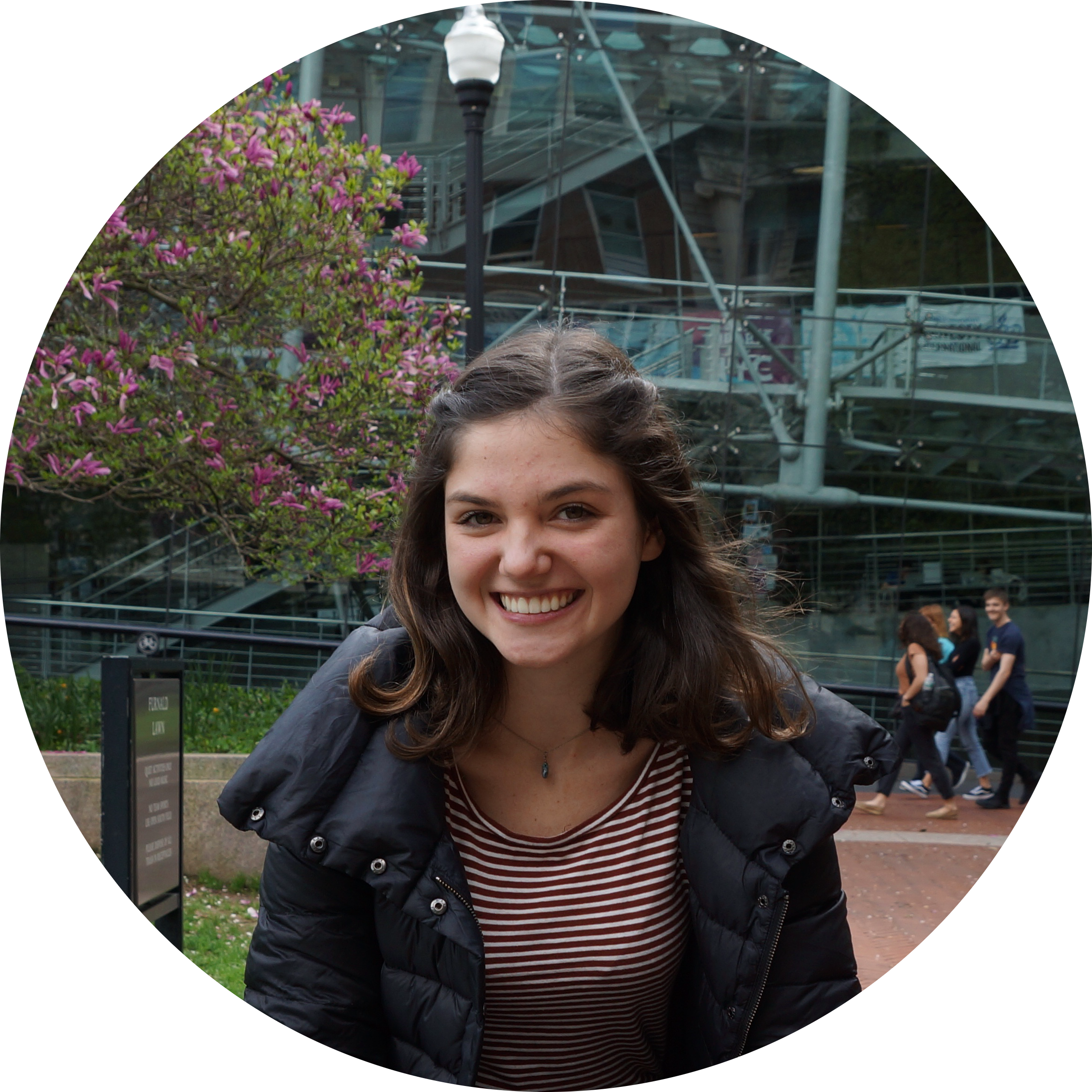 Go to the profile of Chandler Morris