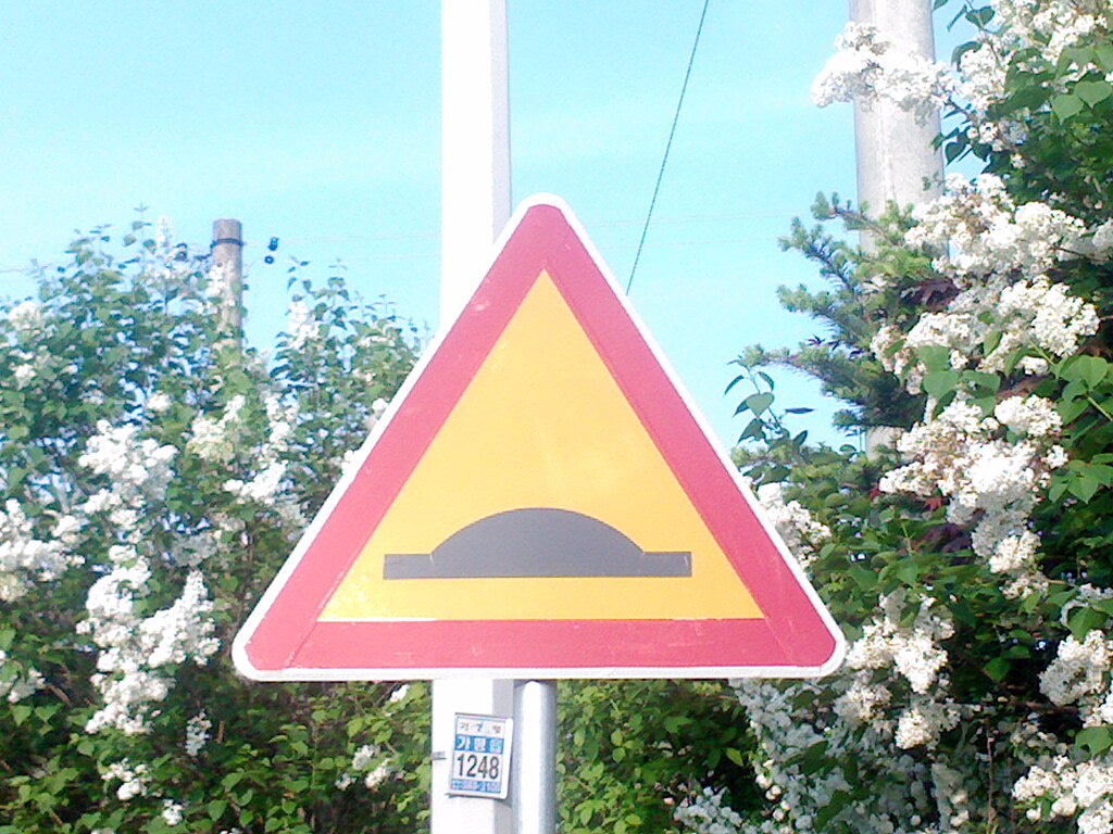 The Value of 'Speed Bumps' in the Research Process