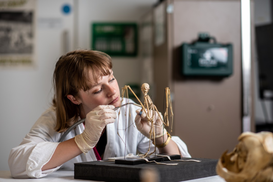 Go to the profile of Zoe Alice Elizabeth Voice