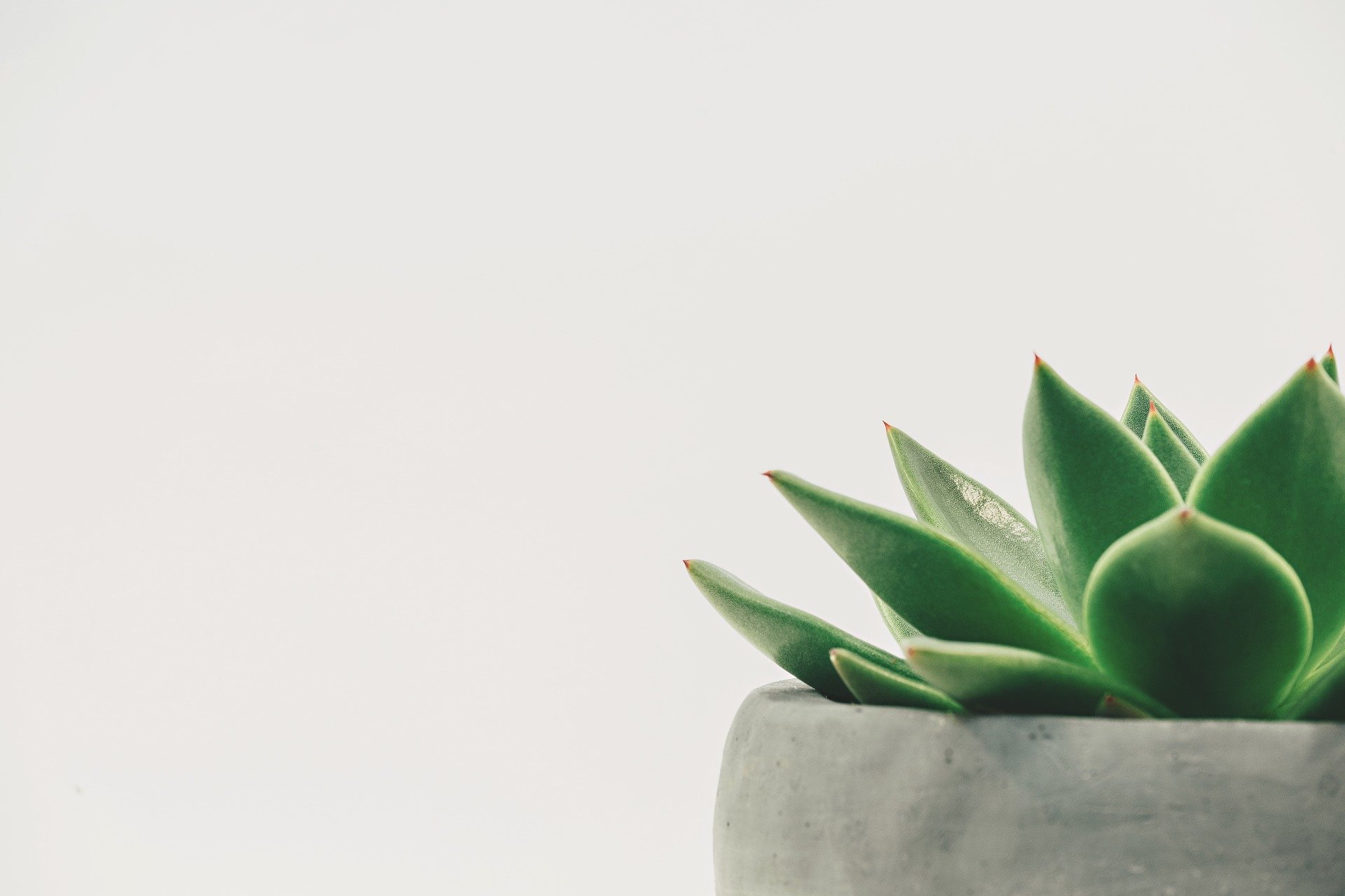 Community Conversation: Minimalism