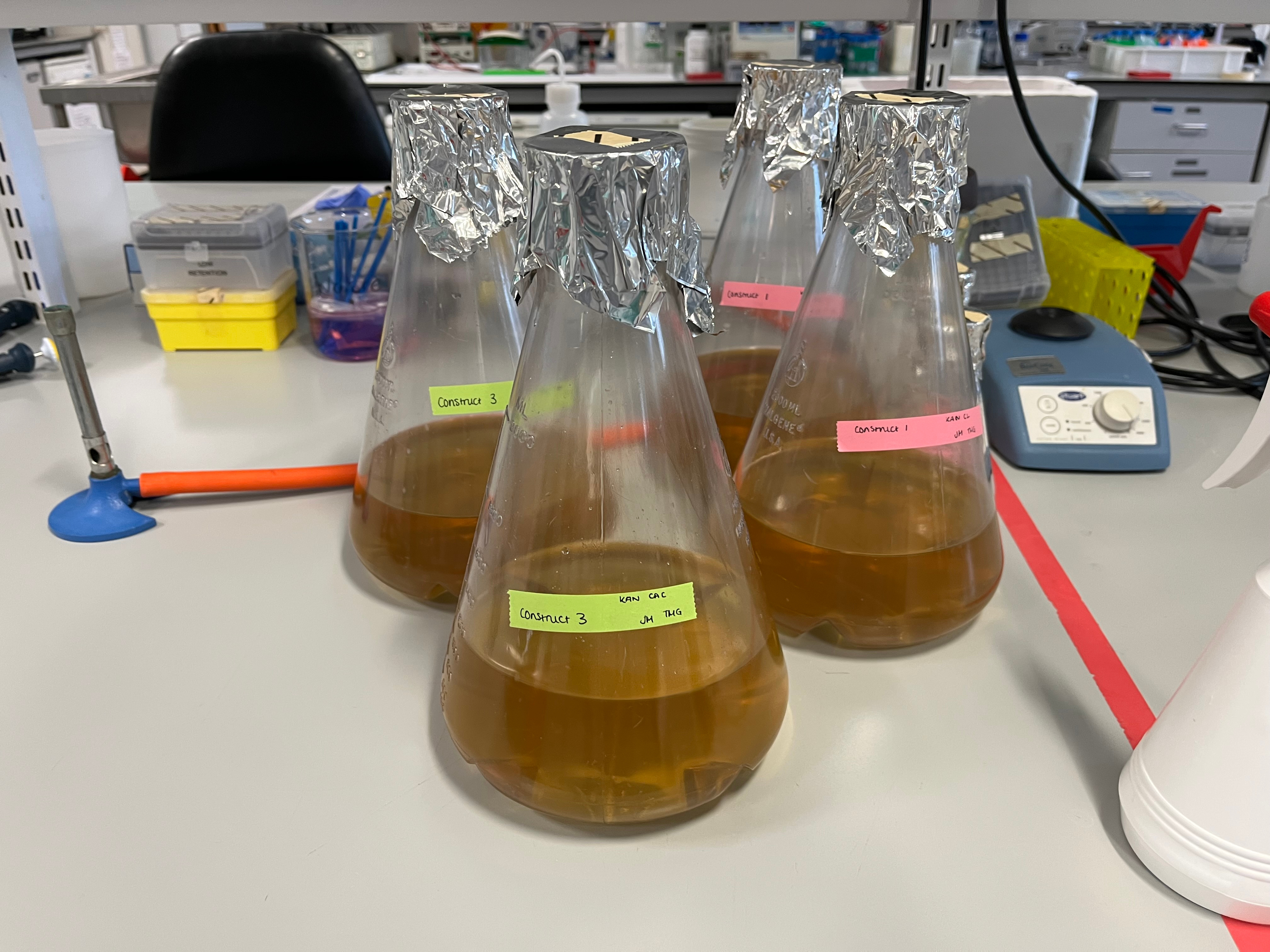 Trials and tribulations of life in a laboratory