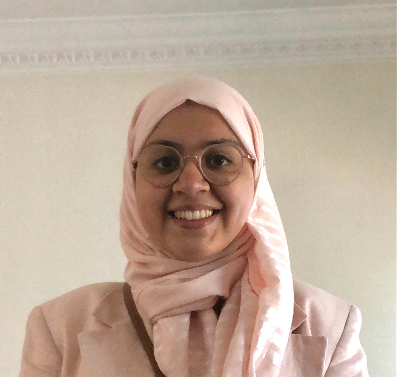 Go to the profile of Batool Wajiha Zaidi