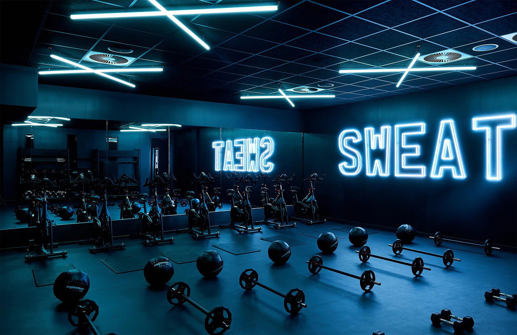 Research Project Outline: Weight discrimination and weight discrimination training among fitness professionals: An international scoping exercise 